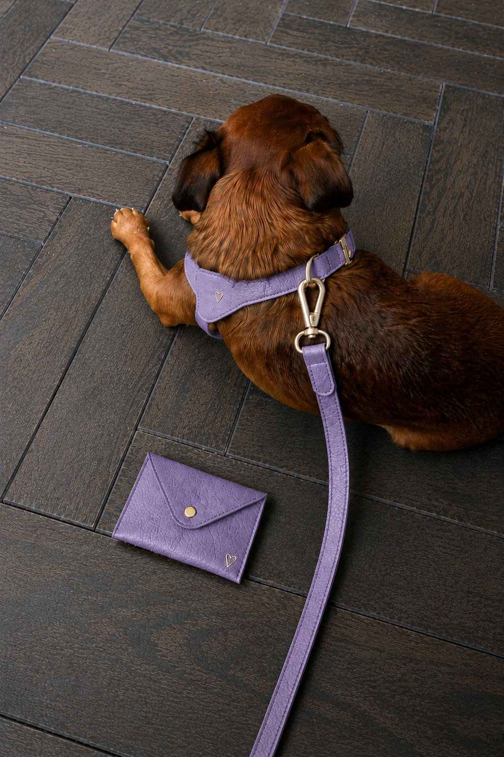 Crossbody Leash