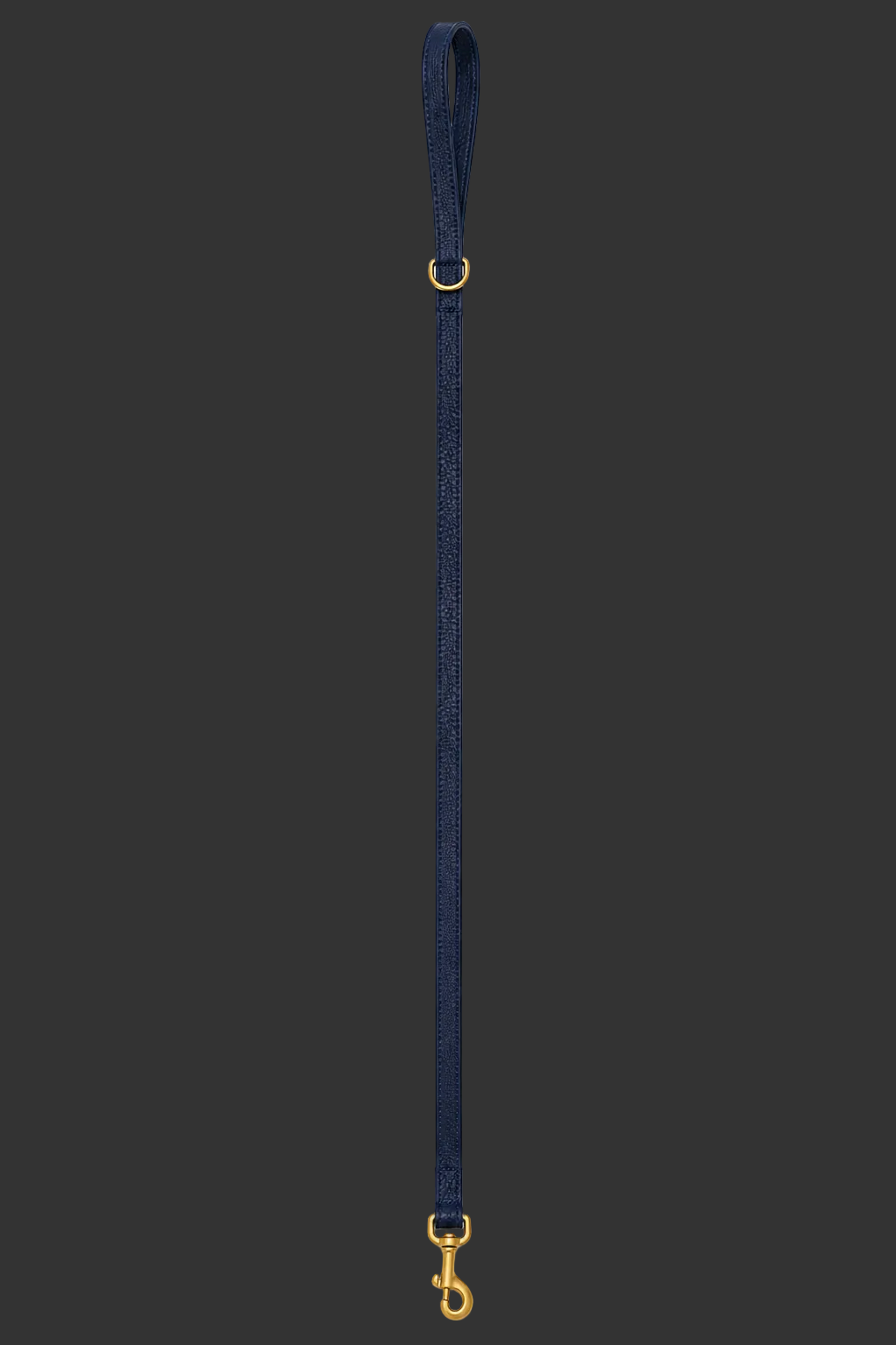 Leash