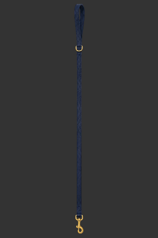 Leash