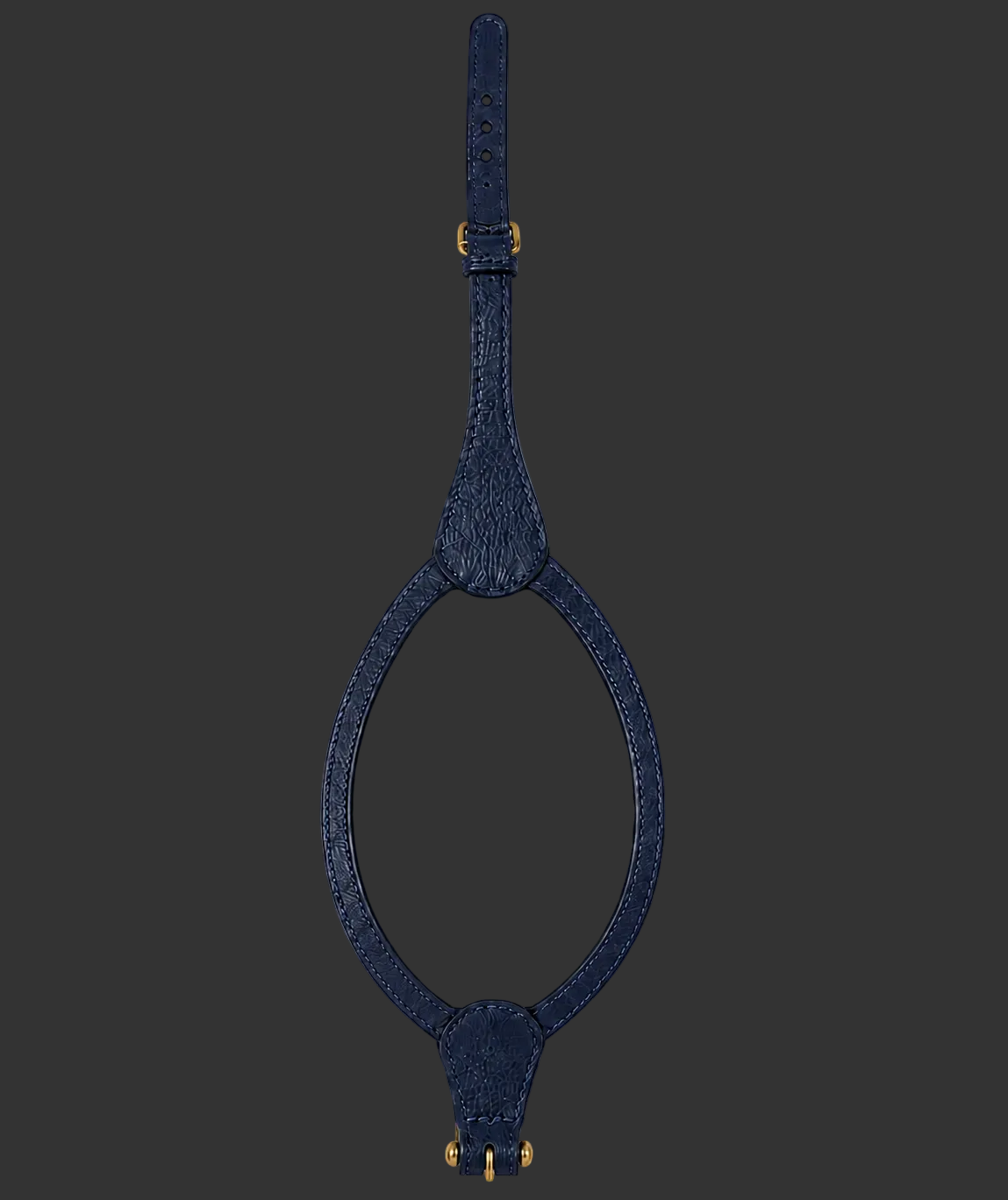 Harness