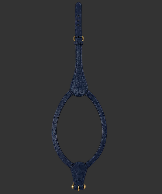 Harness