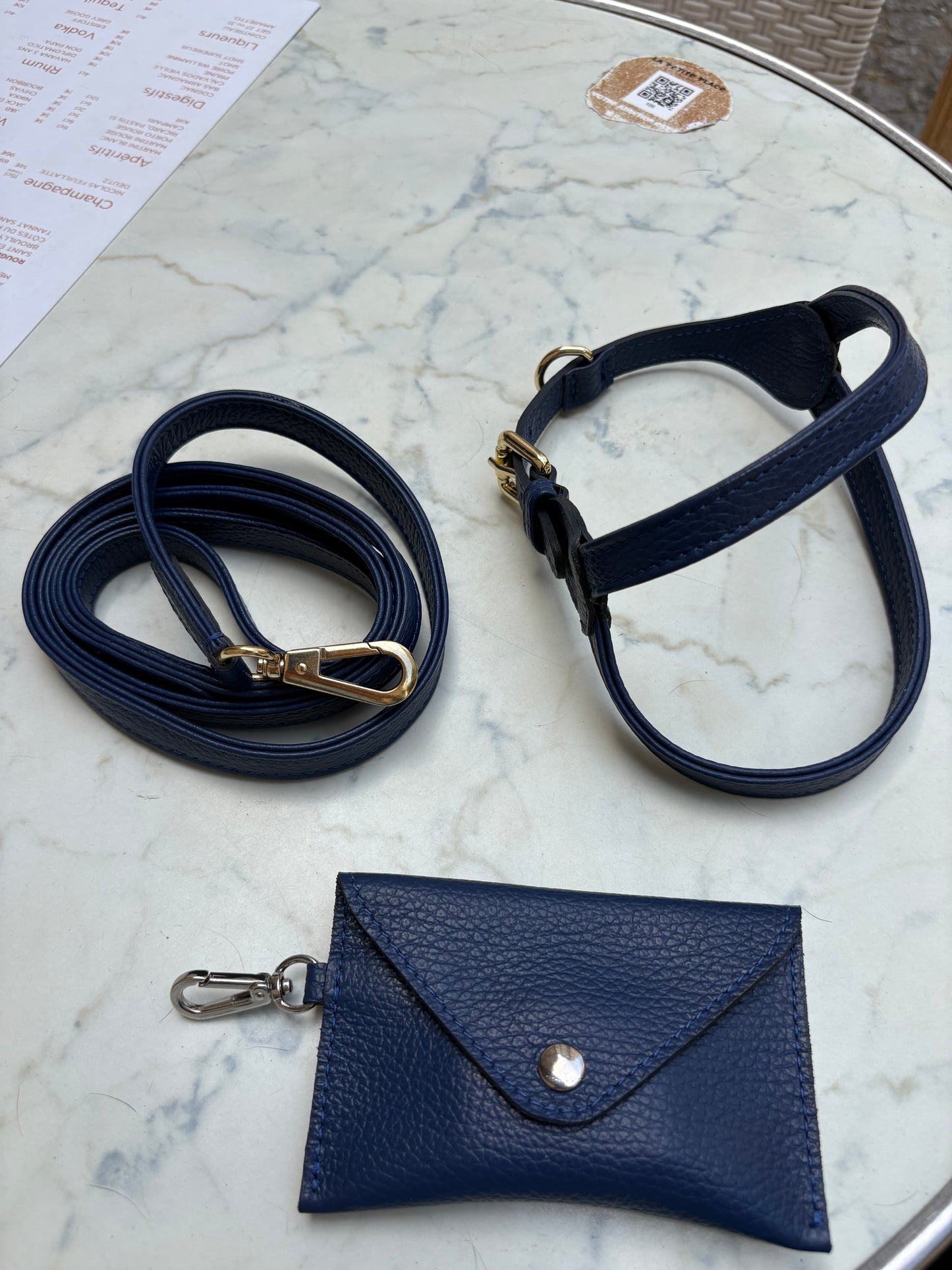 Harness
