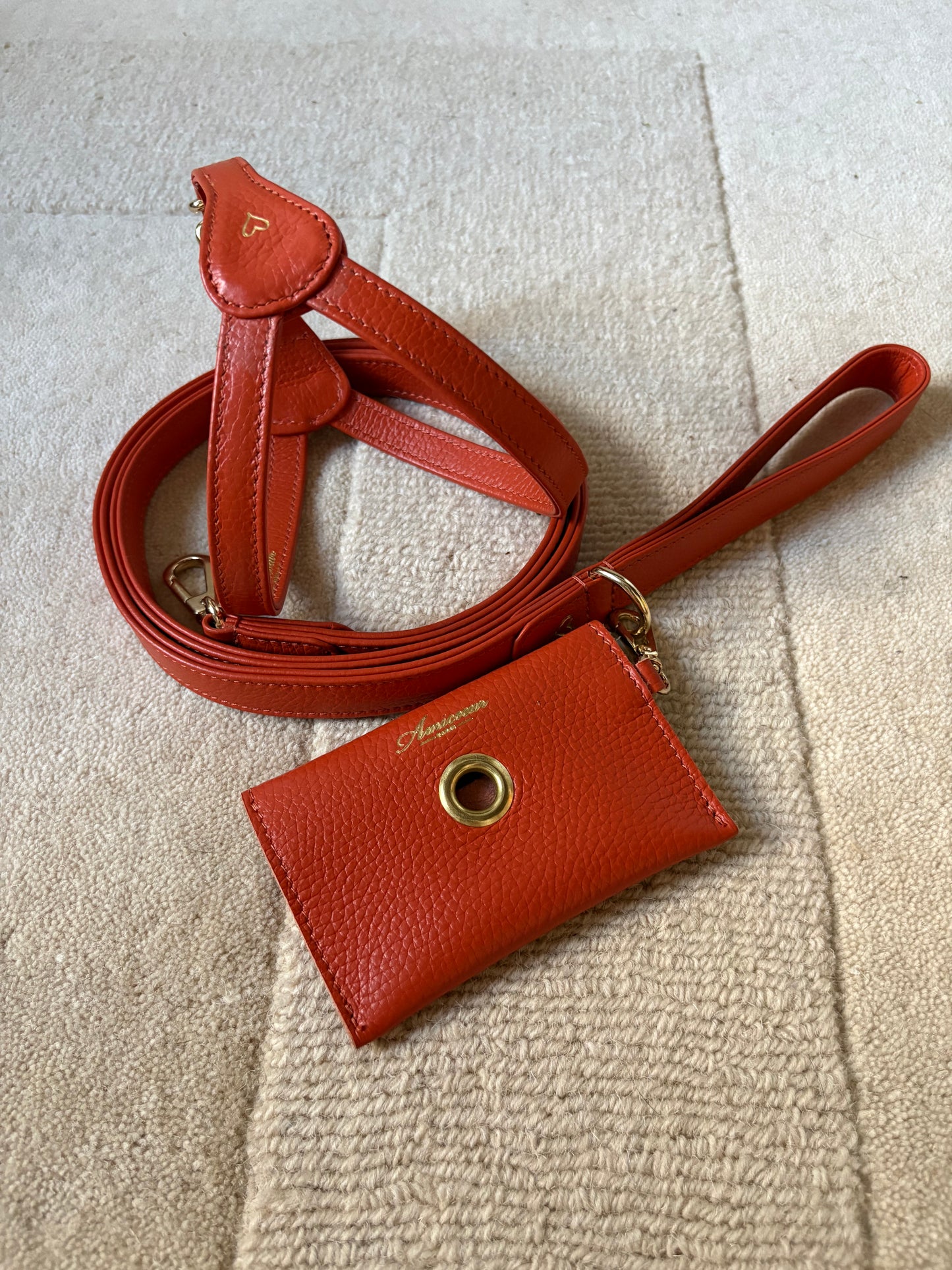 Harness