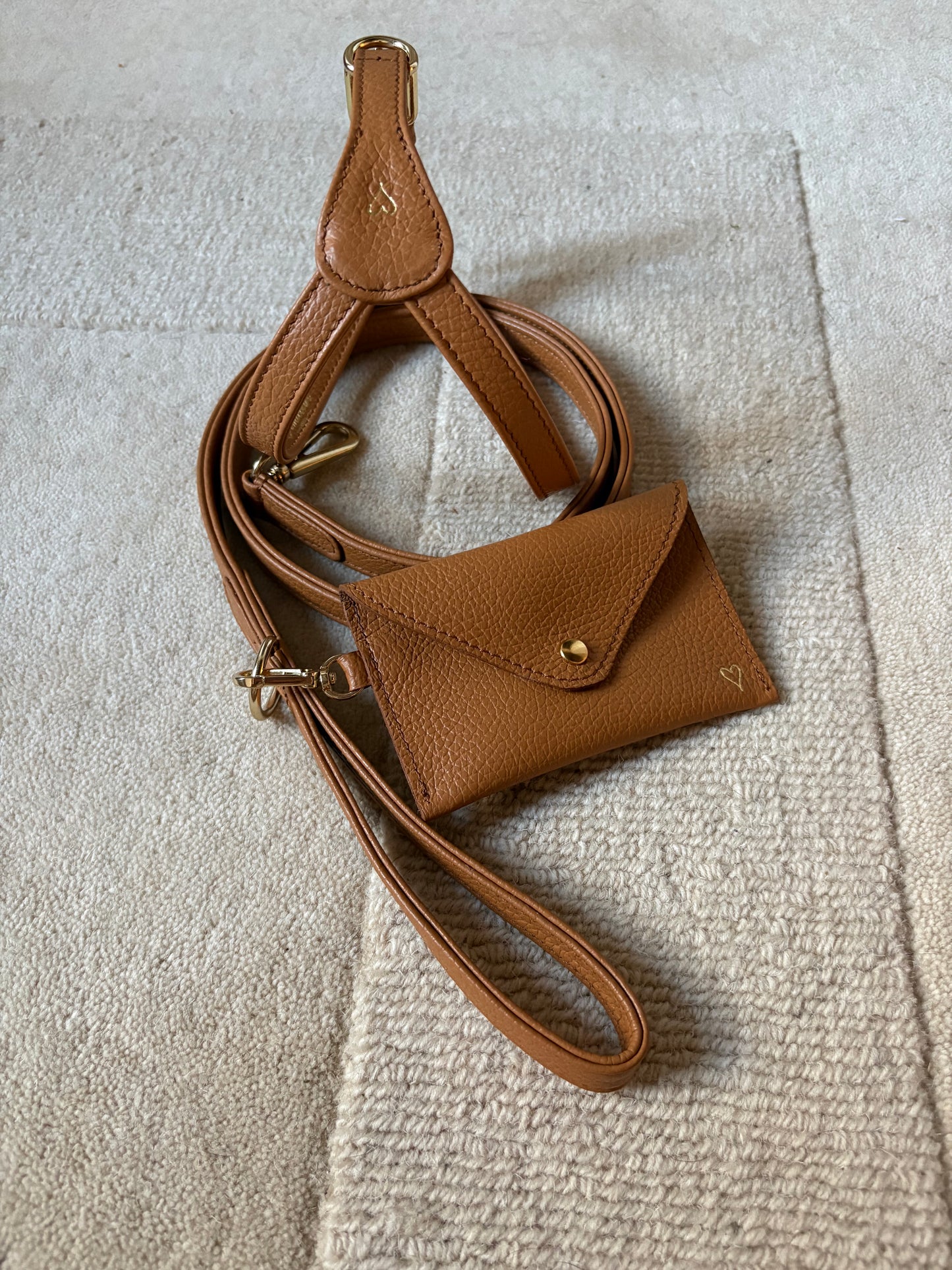 Harness