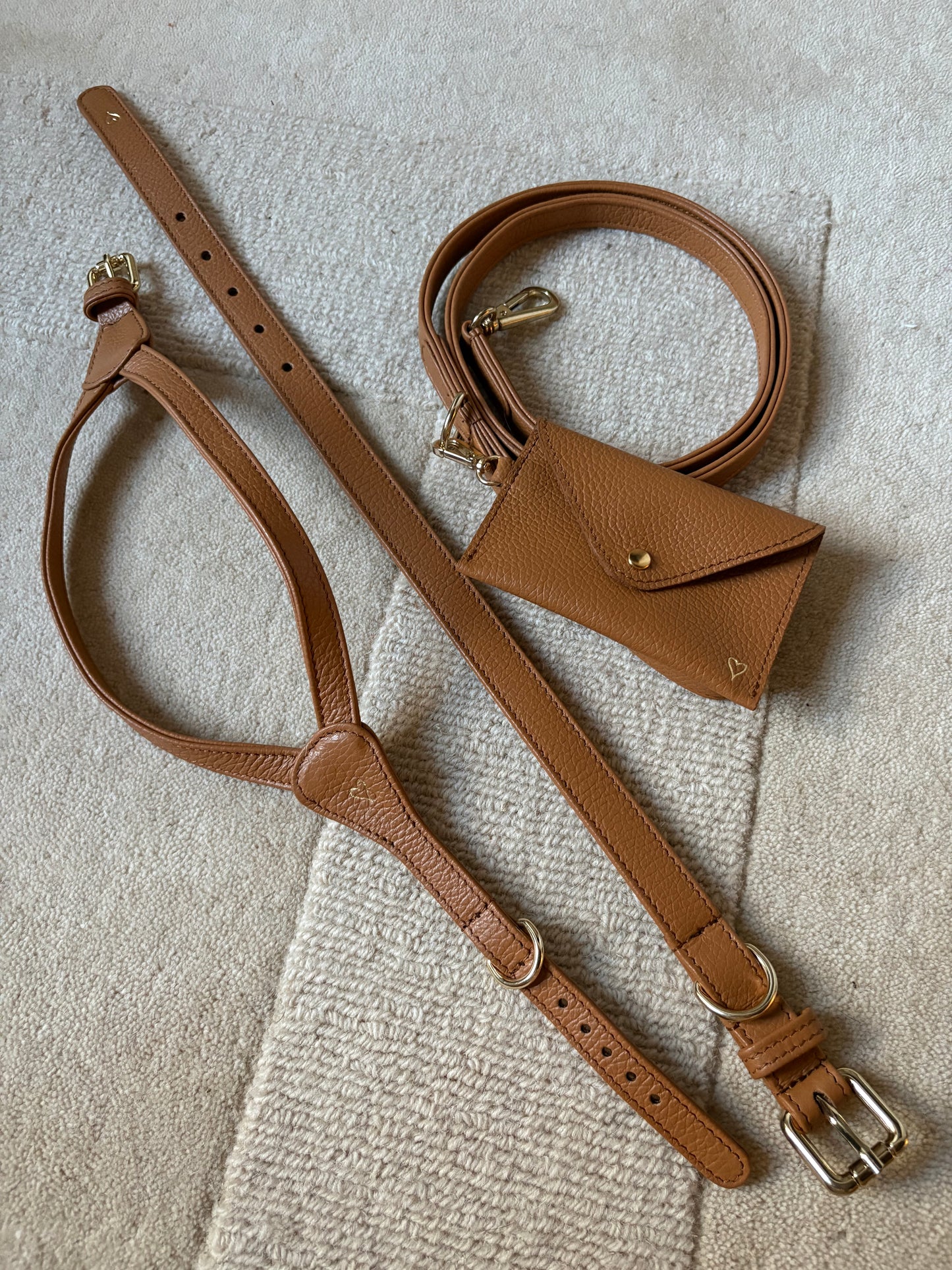 Harness